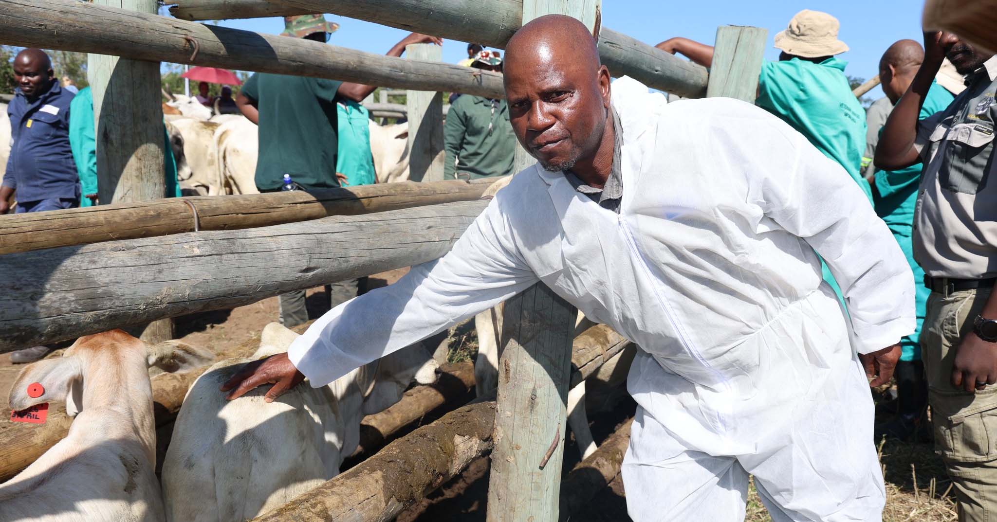 Farmers back govt-led FMD vaccinations